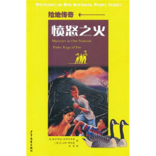 险地传奇：愤怒之火