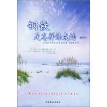 钢铁是怎样炼成的(插图本)