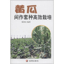 黄瓜间作套种高效栽培