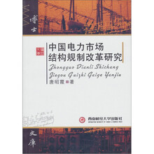 博士文库：中国电力市场结构规制改革研究
