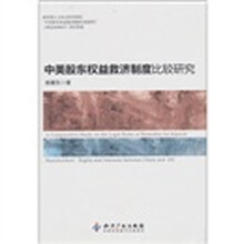 中美股东权益救济制度比较研究