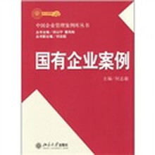 国有企业案例