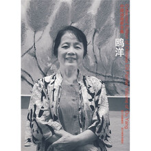中国油画家全集:鸥洋