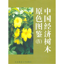 中国经济树木原色图鉴4