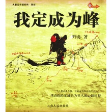 我定成为峰