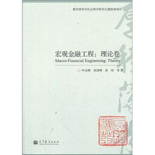 宏观金融工程：理论卷