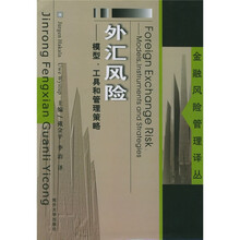 外汇风险：模型工具和管理策略