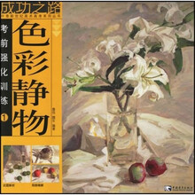 考前强化训练:色彩静物1