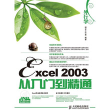 外行学Excel 2003从入门到精通（附DVD光盘1张）