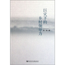 巨灾下的乡村领导力