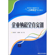 企业纳税全真实训