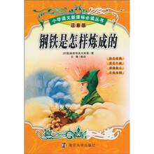 钢铁是怎样炼成的（注音版）