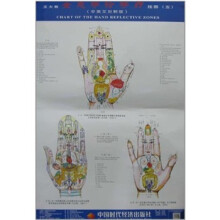 王大有全息手诊手疗挂图（五）（中英文对照版）