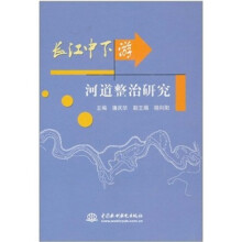 长江中下游河道整治研究