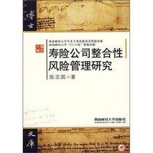 寿险公司整合性风险管理研究
