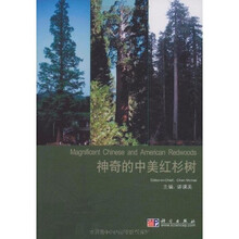 神奇的中美红杉树