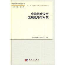 中国粮食安全发展战略与对策
