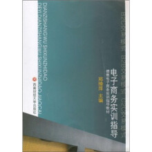 电子商务实训指导