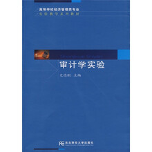高等学校经济管理类专业实验教材:审计学实验