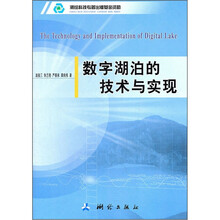 数字湖泊的技术与实现