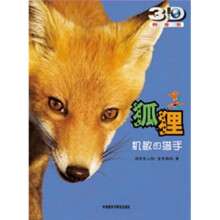 狐狸:机敏的猎手