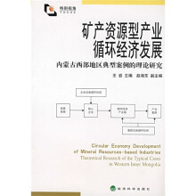 矿产资源型产业循环经济发展：内蒙古西部地区典型案例理论研究
