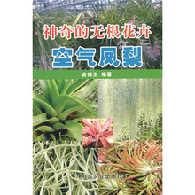 神奇的无根花卉:空气凤梨