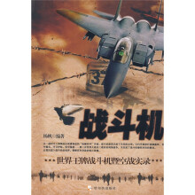 战斗机：世界王牌战斗机暨空战实录