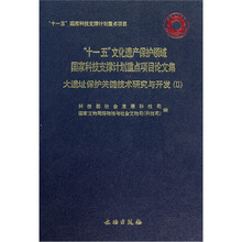 大遗址保护关键技术研究与开发2