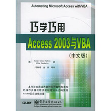 巧学巧用Access2003与VBA（中文版）
