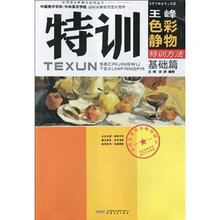 名师授艺新概念系列丛书·规范经典教程迎考美术教材:王峰色彩静物特训方法(基础篇)