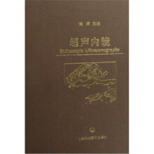 超声内镜