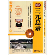 三元总录