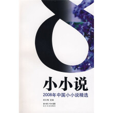 2008年中国小小说精选
