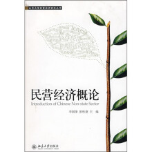 民营经济概论