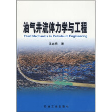 油气井流体力学与工程