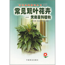 常见观叶花卉：天南星科植物