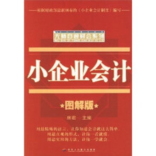 小企业会计(图解版)