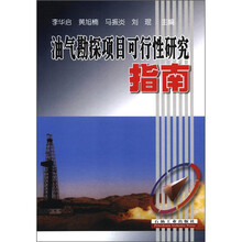 油气勘探项目可行性研究指南