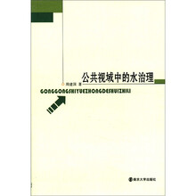 公共视域中的水治理