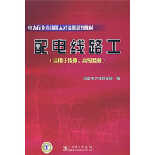 电力行业高技能人才培训系列教材：配电线路工