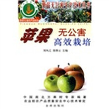 苹果无公害高效栽培