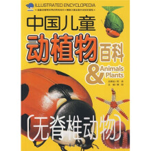 无脊椎动物