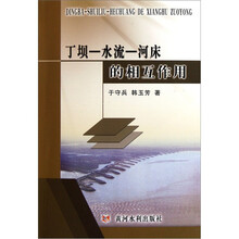 丁坝-水流-河床的相互作用