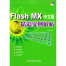 Flash MX中文版精彩实例解析(附光盘)