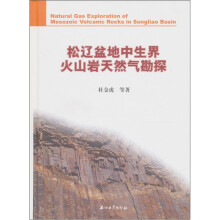 松辽盆地中生界火山岩天然气勘探