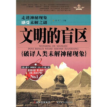 文明的盲区：破译人类未解神秘现象