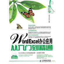 外行学Word／Excel办公应用从入门到精通（附DVD光盘1张）