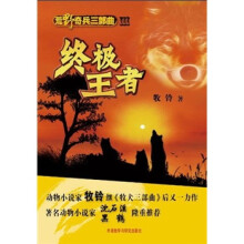 荒野奇兵三部曲3：终极王者