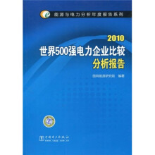 2010世界500强电力企业比较分析报告